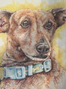 Detailed custom sketch drawing of a dog by Houston artist Tasnuva Rahman, showcasing a detailed pet portrait commission in a pencil or charcoal medium.