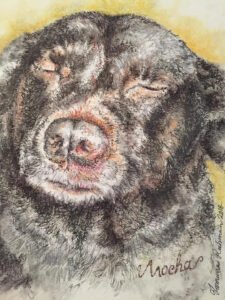A custom pencil sketch drawing of a beloved pet, illustrating the talent of portrait artist Tasnuva Rahman in capturing an animal’s unique personality.