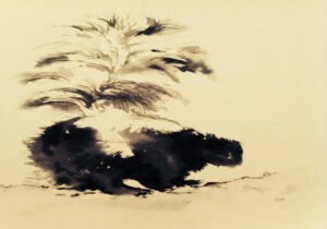 An animal portrait study of a skunk by Houston artist Tasnuva Rahman, demonstrating her skill in capturing the unique spirit of pets and animals custom commissioned paintings.